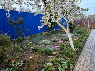 Гостиница Моника Керчь Семейный улучшенный-9