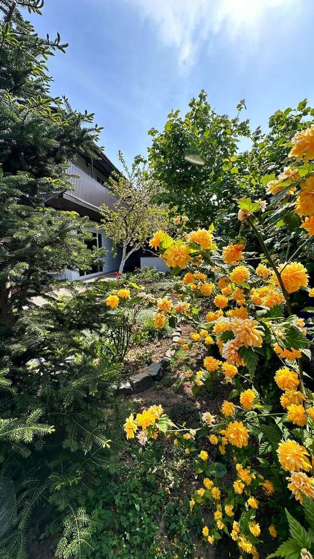 Гостиница Моника Керчь-24