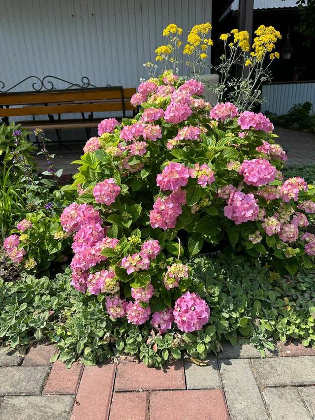 Гостиница Моника Керчь-7