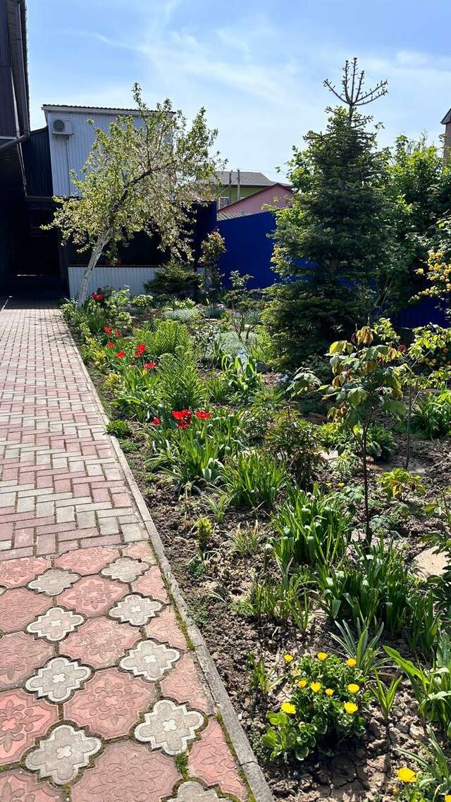 Гостиница Моника Керчь-23