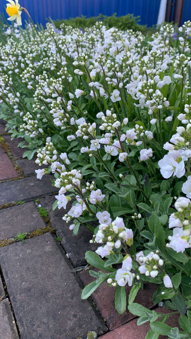 Гостиница Моника Керчь-125