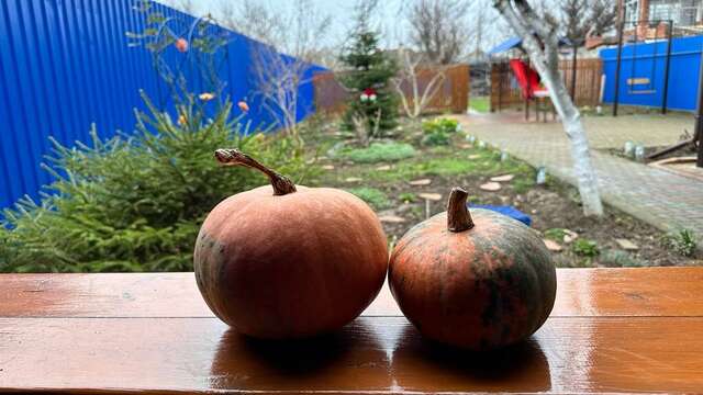 Гостиница Моника Керчь-19