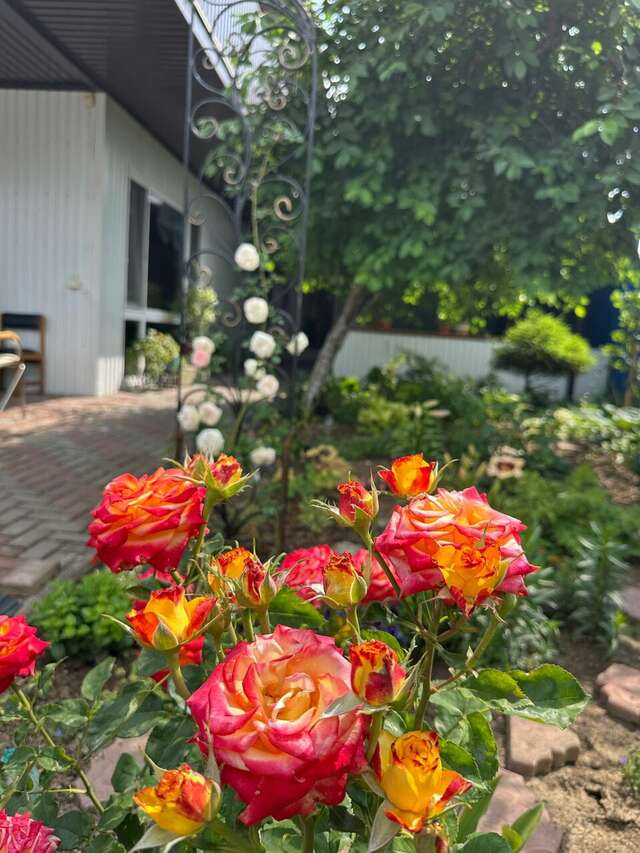 Гостиница Моника Керчь-16