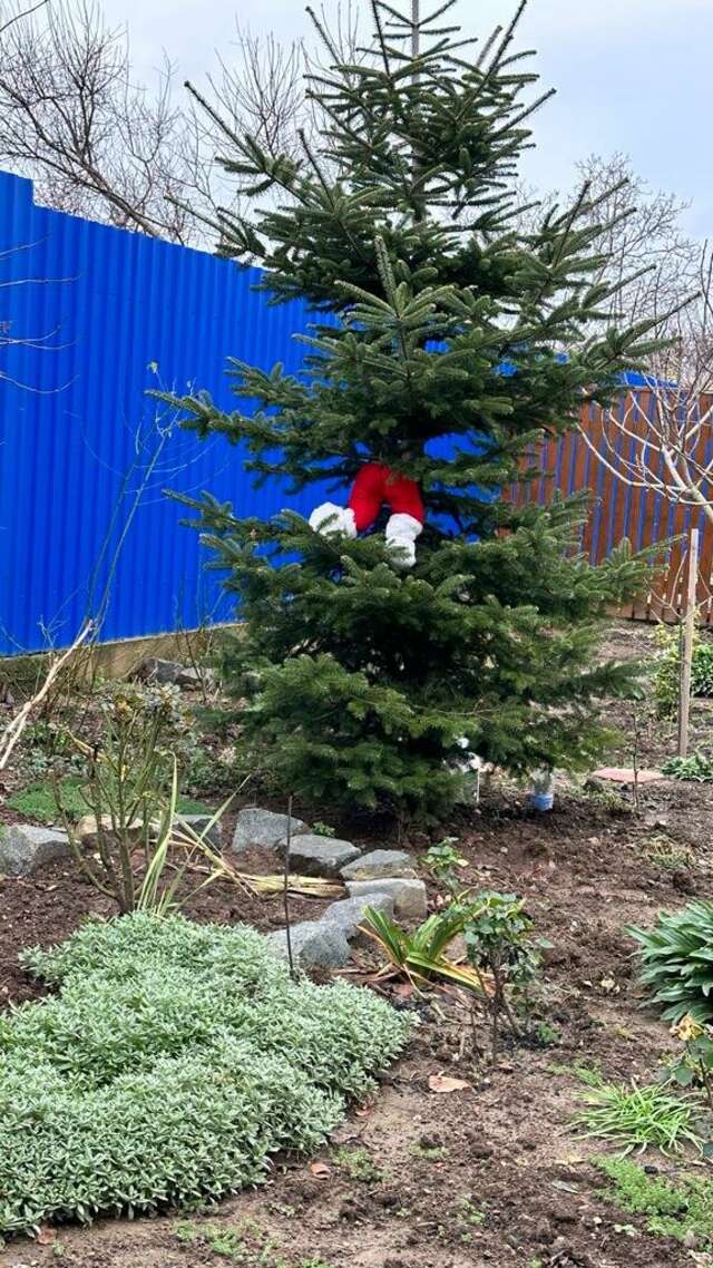 Гостиница Моника Керчь-53