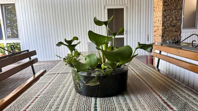 Гостиница Моника Керчь-22