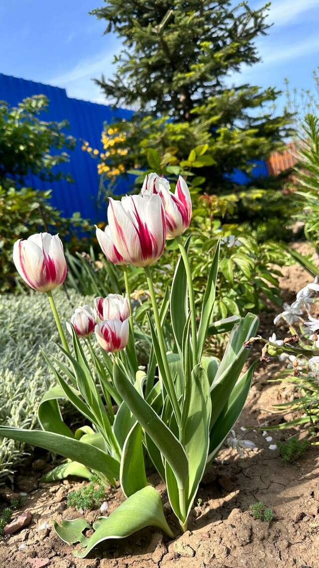 Гостиница Моника Керчь-6